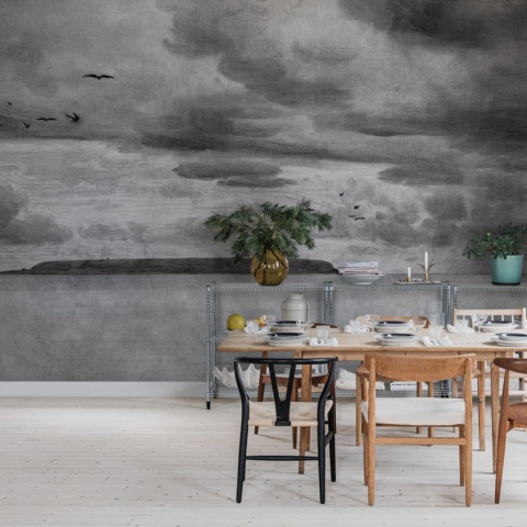 Fototapet, Seabirds, Black & White, Rebel Walls