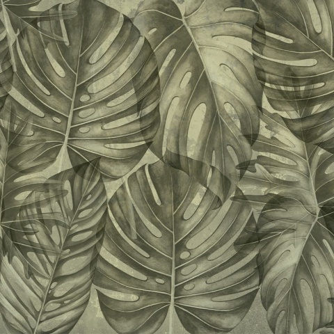 Fototapet Sepia philodendron, VLAdiLA - Img 2