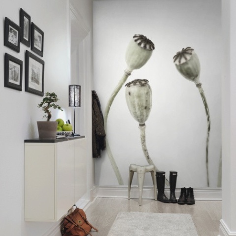 Fototapet, Simple Seedpod, Rebel Walls - Img 4