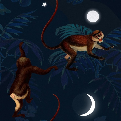 Fototapet, Space Monkey, Rebel Walls - Img 7