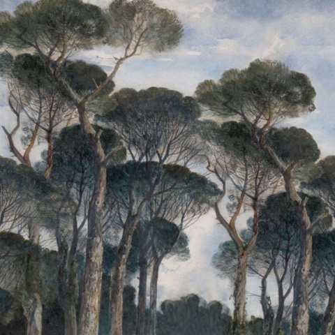 Fototapet, Umbrella Pines, Vintage, Rebel Walls - Img 2