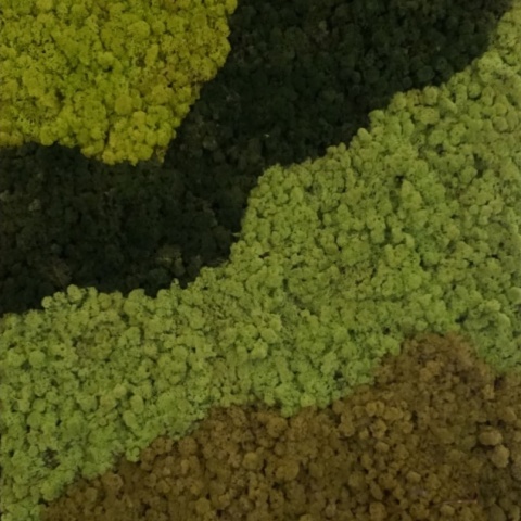 Panou decorativ din muschi, Torvtak Icemoss Spring Green - Img 6