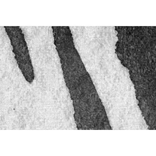 Tapet Zebra Stripes, Graphite, Rebel Walls - Img 3