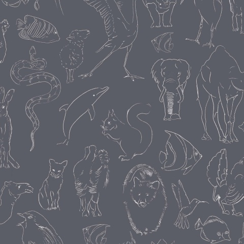 Tapet Zoology, Chalk, Coordonne 5mp / rola - Img 2