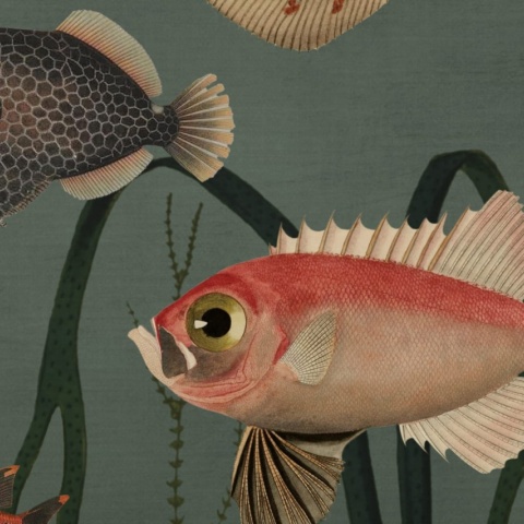 Fototapet, Aquatic Life, Oxygen, Rebel Walls - Img 8