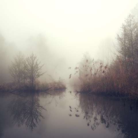 Fototapet, Autumn Pond, Rebel Walls - Img 2