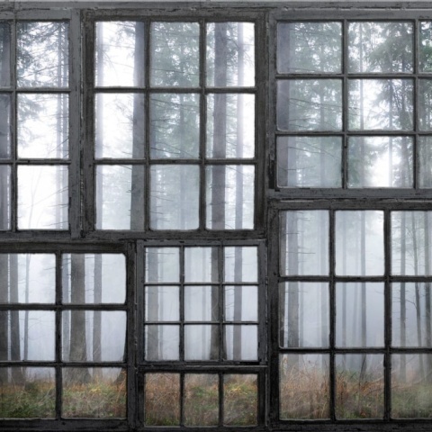 Fototapet, Cabin, Rebel Walls - Img 2