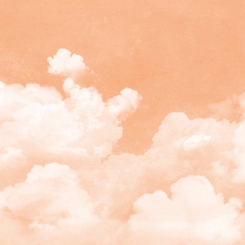 Fototapet, Cuddle Clouds, Peach Fuzz, Rebel Walls - Img 2