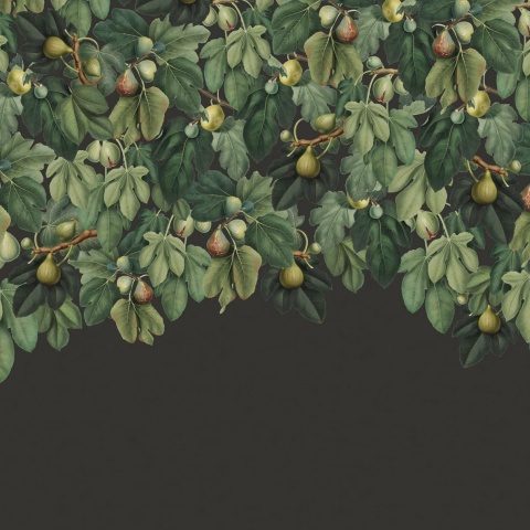 Fototapet, Dangling Figs, Lush, Rebel Walls - Img 2