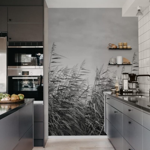 Fototapet, Dreamy Reed, Black & White, Rebel Walls