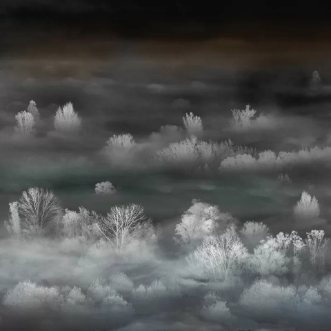 Fototapet Foggy Landscape Nightview, VLAdiLA - Img 2