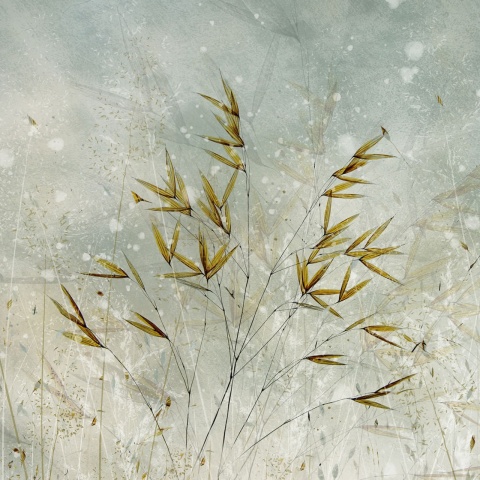 Fototapet, Golden Grain, Rebel Walls - Img 2