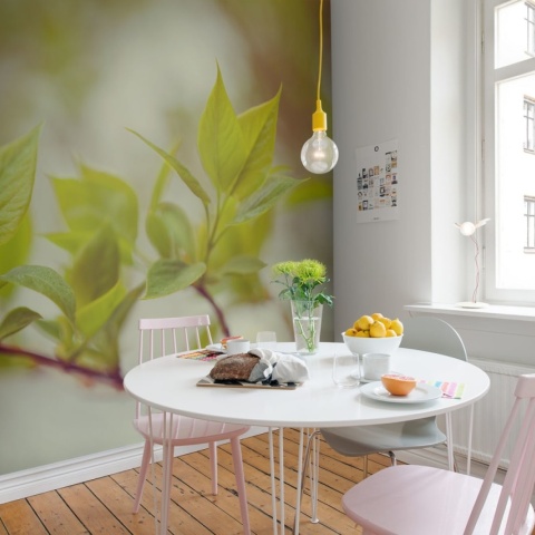 Fototapet, Green Leaves, Rebel Walls