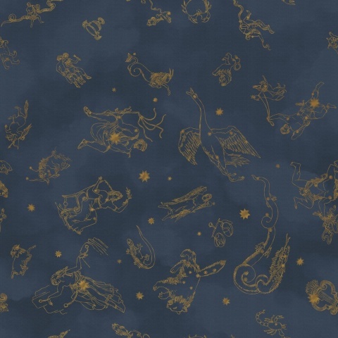 Fototapet lavabil, Constellations 9561W - Img 3