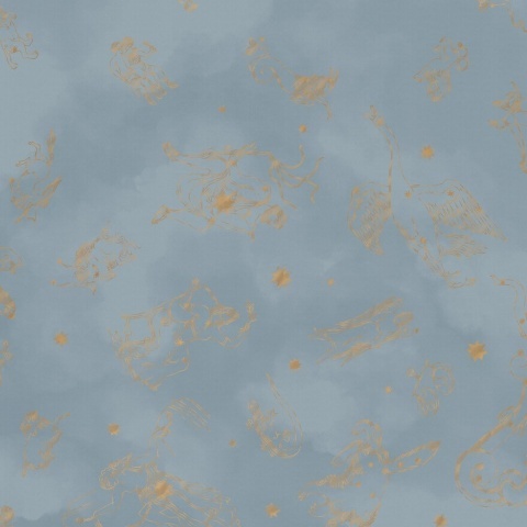 Fototapet lavabil, Constellations 9562W - Img 2