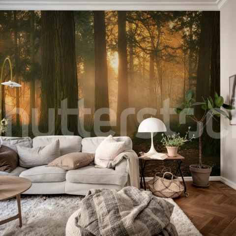 Fototapet, Misty Morning, Soft, Rebel Walls
