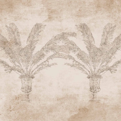 Fototapet Palma, Papyrus, Coordonne - Img 2