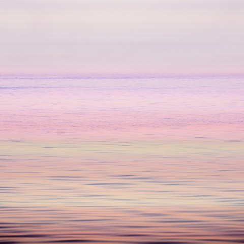 Fototapet, Paradise Breeze, Rebel Walls - Img 2