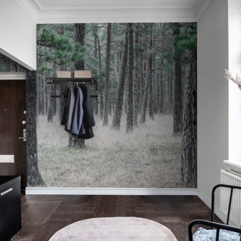 Fototapet, Pine Forest, Rebel Walls - Img 4