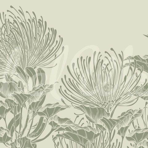 Fototapet, Protea Bloom, Soft Green, Rebel Walls - Img 2