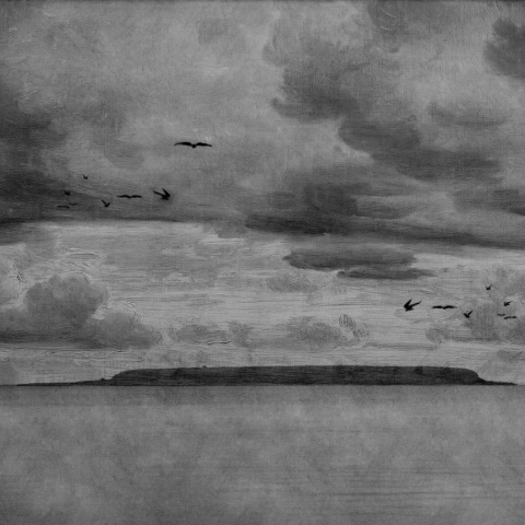 Fototapet, Seabirds, Black &amp; White, Rebel Walls - Img 2