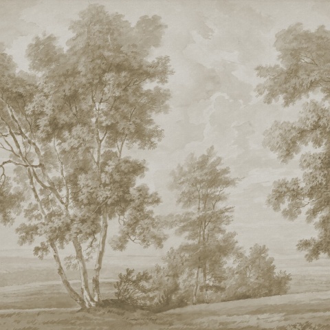 Fototapet, Tree on the Hill, Beige, Rebel Walls - Img 2