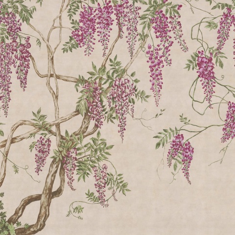 Fototapet, Wisteria Tree, Dusty Pink, Rebel Walls - Img 6