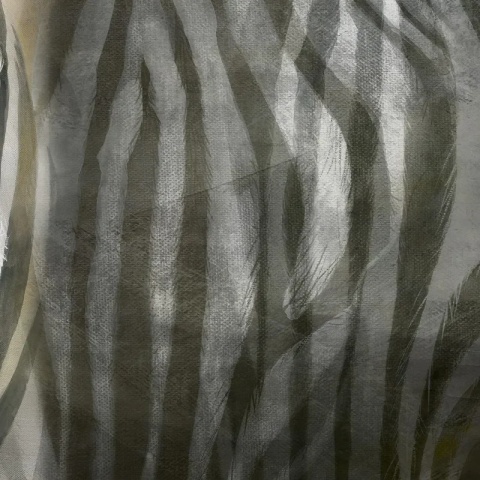 Fototapet Zebra Interrupted, VLAdiLA - Img 3