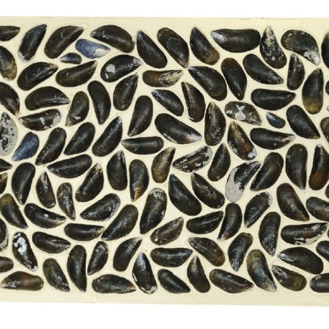 Panou decorativ 3D, Scoici, Dutch Dyke White, 100x100 cm - Img 2