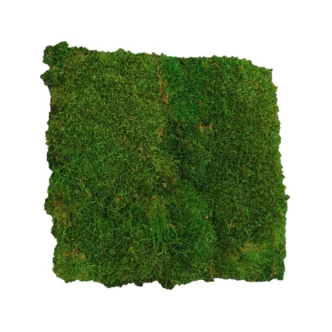 Panou decorativ din muschi, Staloluokta Flatmoss Moss Green - Img 2