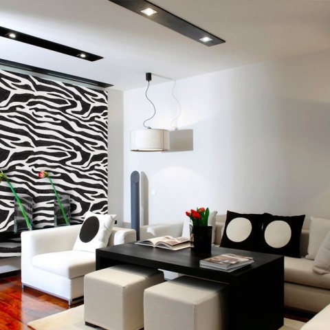 Vopsea decorativa pentru interior, efect JUNGLE: ZEBRA, finisaj satinat - Img 2