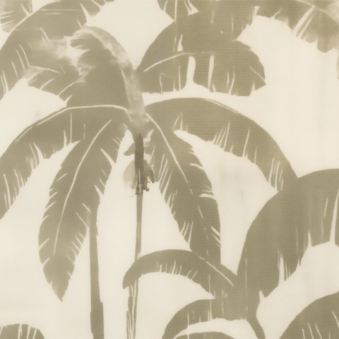 Fototapet Botanic Serenite Caraibes Rêve SC100