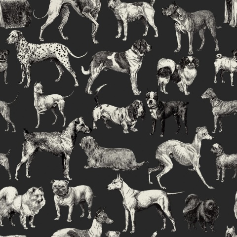Fototapet, Dogs, Harlequin, Rebel Walls - Img 2