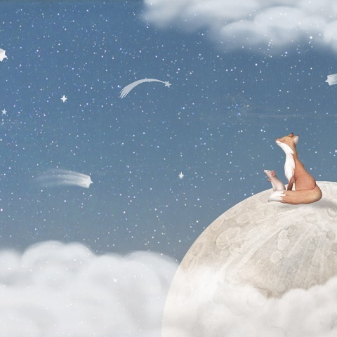 Fototapet Fox on the Moon - Blue, Oliver Robins - Img 2