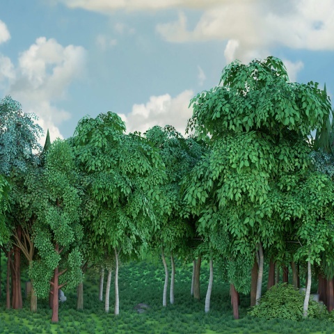 Fototapet, Gaming Woods, Summer, Rebel Walls - Img 2