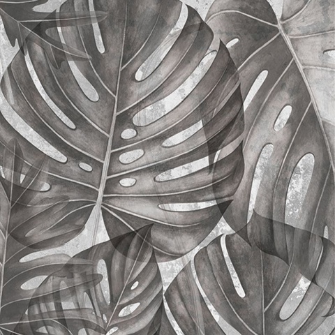 Fototapet Grey Philodendron, VLAdiLA - Img 2