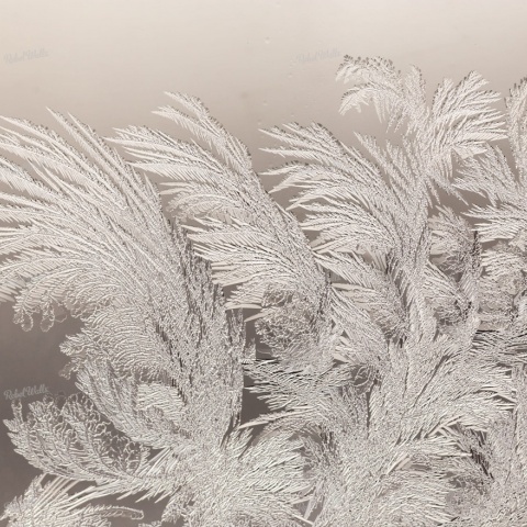 Fototapet, Ice Crystals, Rebel Walls - Img 5