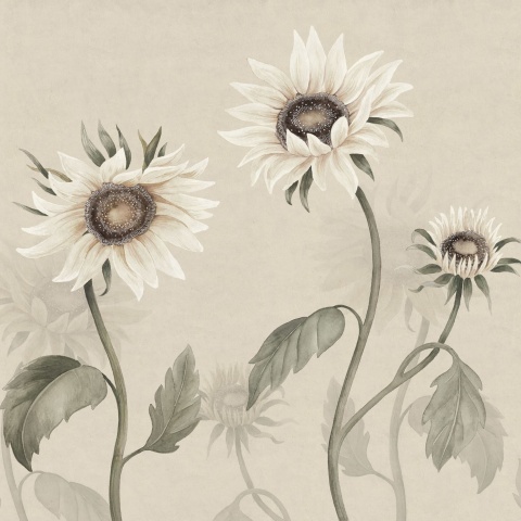 Fototapet lavabil, Sunflowers, White, Sandberg - Img 2