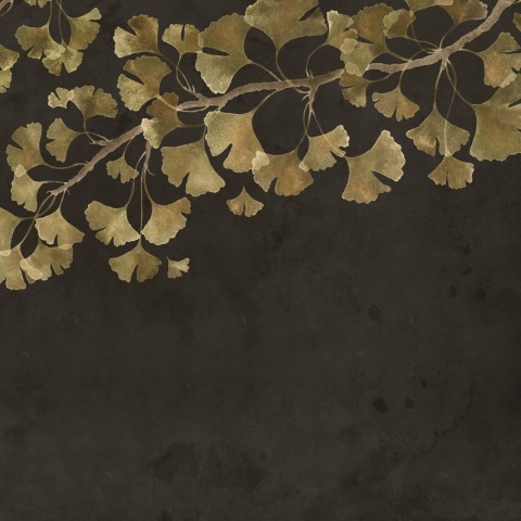 Fototapet, Maidenhair Tree, Black, Rebel Walls - Img 2