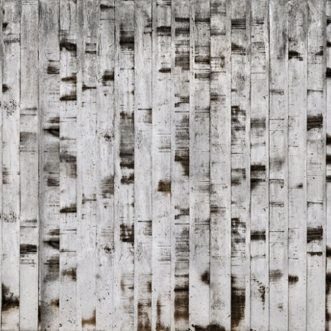 Fototapet, Metal Birch, Rebel Walls - Img 5