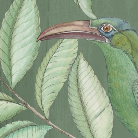 Fototapet, Monkeys Paradise, Sage Green, Rebel Walls - Img 4