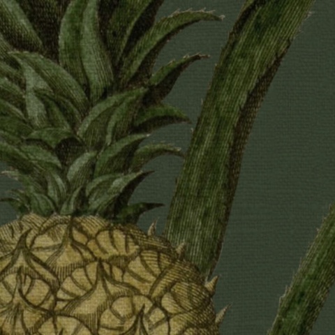 Fototapet, Pineapple, Lush, Rebel Walls - Img 4