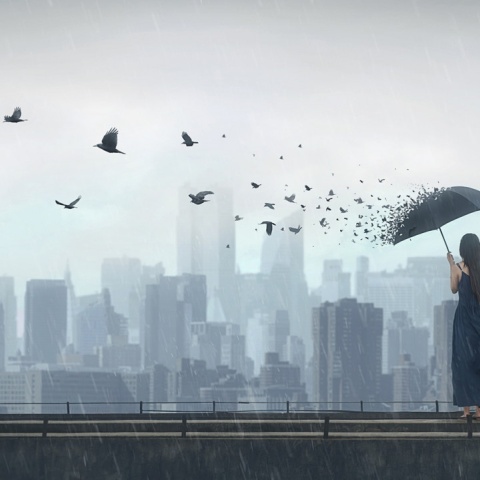 Fototapet, Rain Bird, Rebel Walls - Img 4