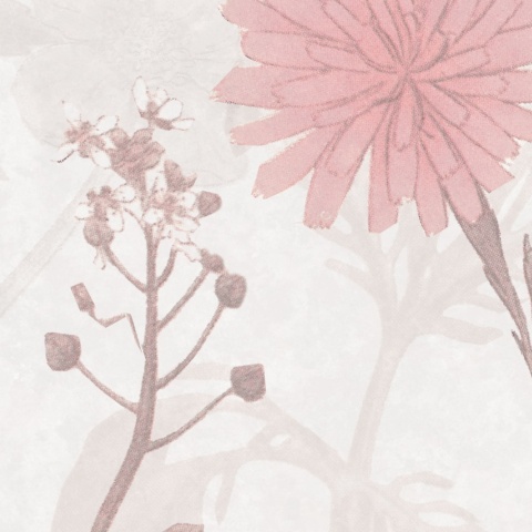 Fototapet, Stormy Meadow, Dusty Pink, Rebel Walls - Img 8
