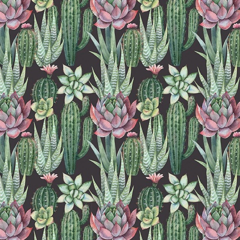 Fototapet Succulents, VLAdiLA - Img 2