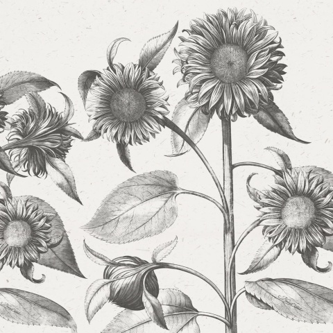 Fototapet, Sunflower, Beige, Rebel Walls - Img 2
