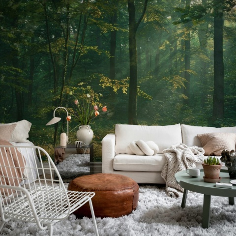 Fototapet, Sunrise Forest, Dawn, Rebel Walls