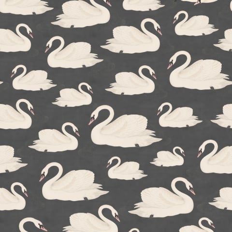 Fototapet, Whooper Swan, Black, Rebel Walls - Img 2