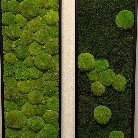 Panou decorativ din muschi, Gamme Cushion Moss - Img 10