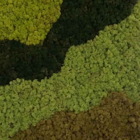 Panou decorativ din muschi, Torvtak Icemoss Lime Green - Img 3
